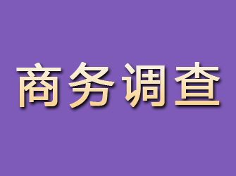 夏县商务调查